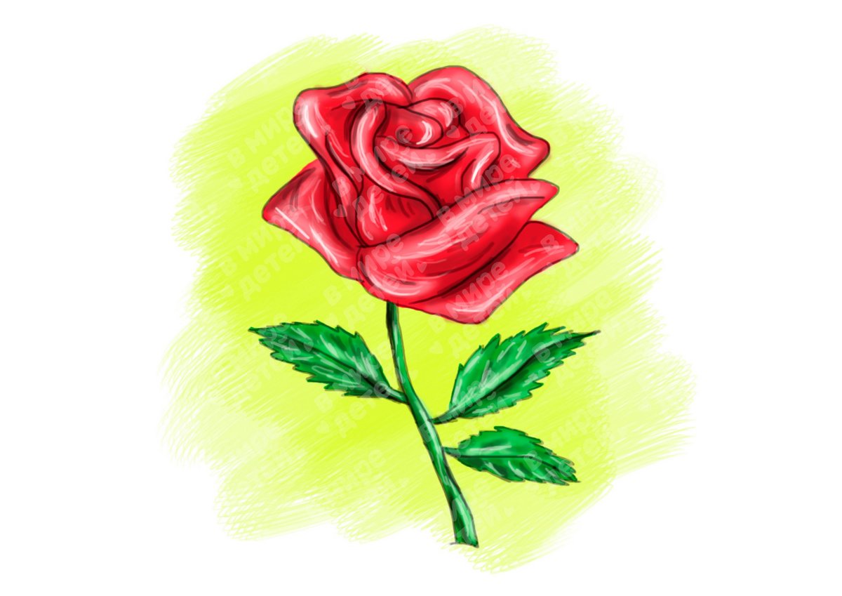 Пошаговый мастер-класс - как самостоятельно нарисовать розу